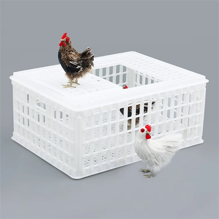 Plastic Chicken Transport Coop